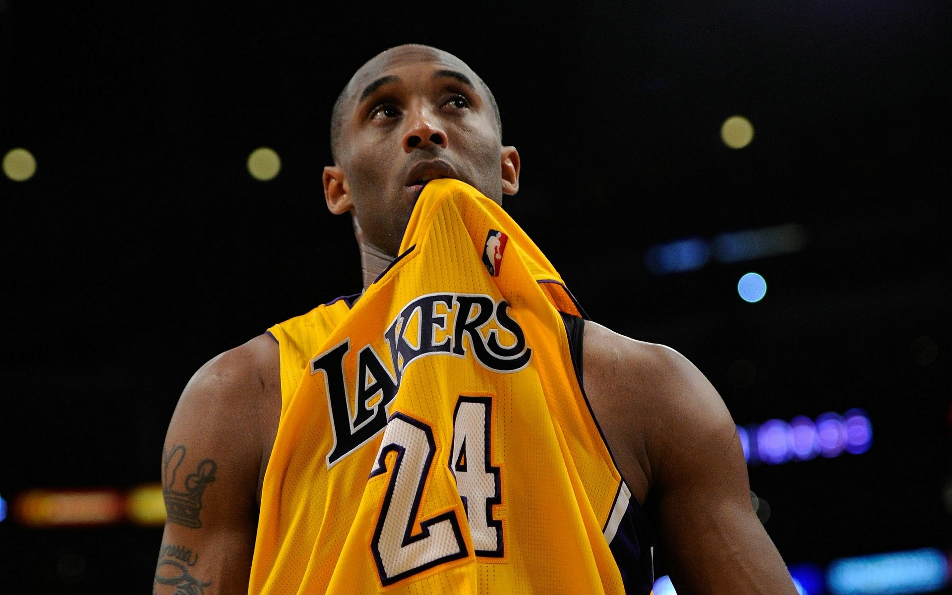 制的启动 制的启动