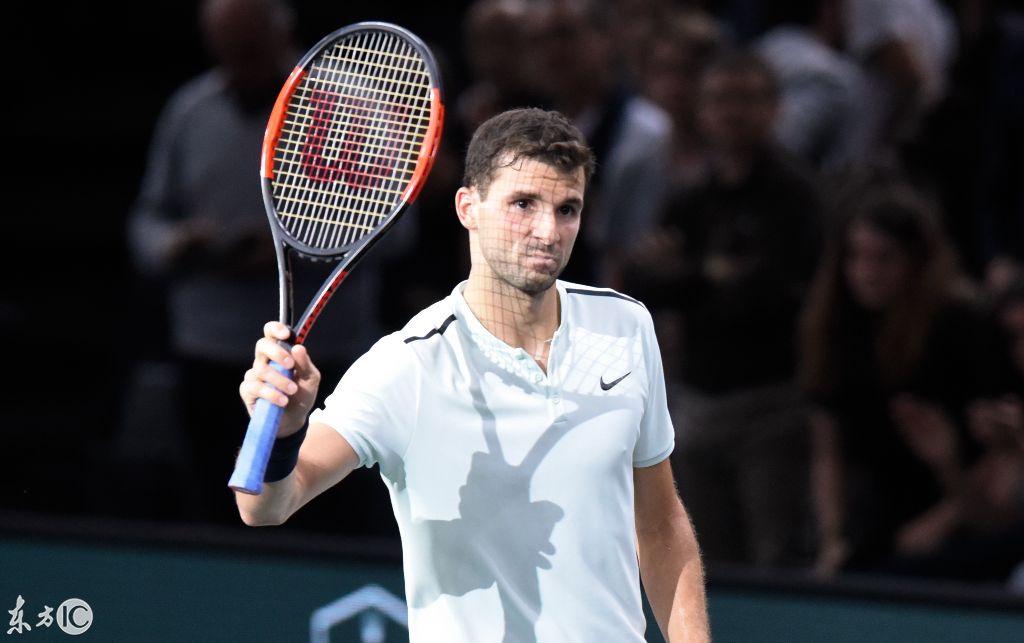 武切维奇国 武切维奇国